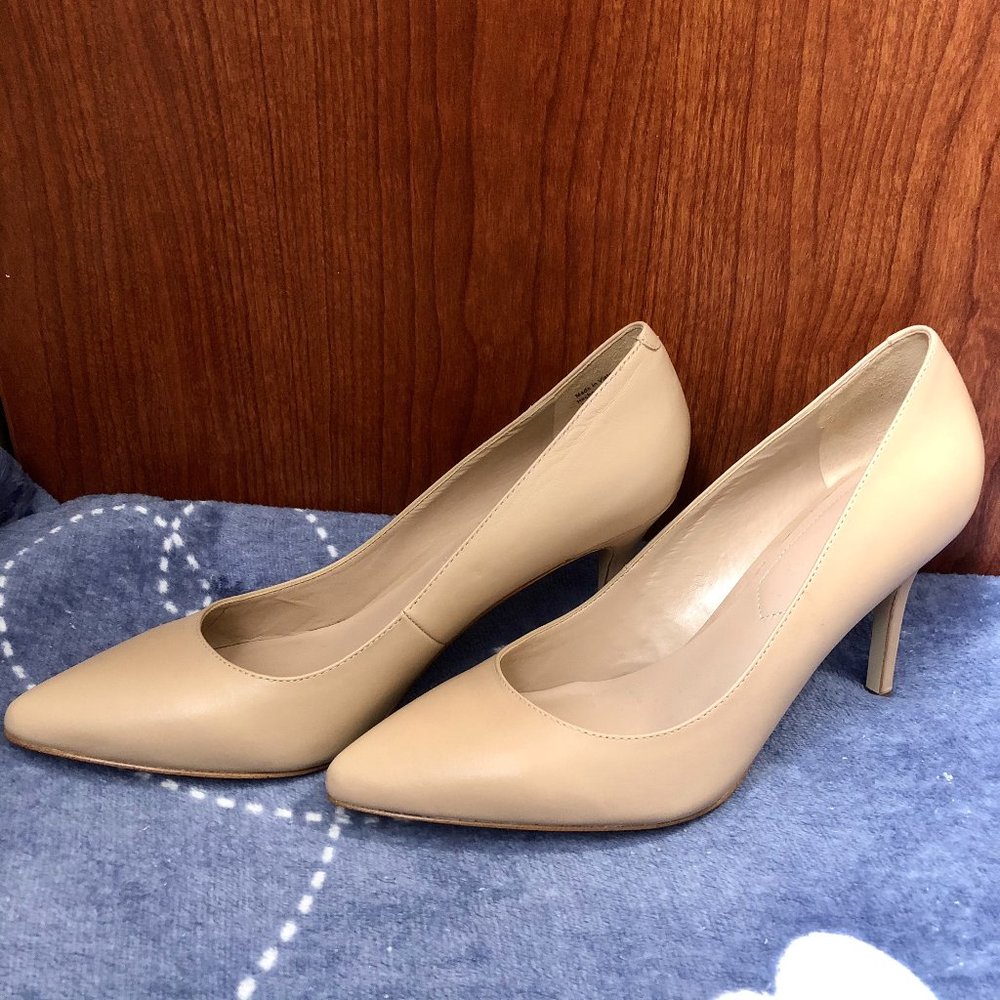 Pointed Toe Nude Heel